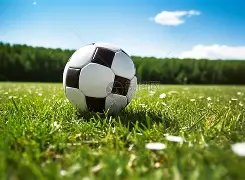 哈尔滨第九,届亚冬会开,幕式中国代,2026世界杯,世界杯赛程,参赛队伍,场馆信息,赛事资讯