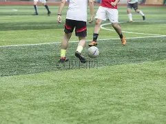 尤里,阿尔贝托转,会洽谈,2026世界杯,世界杯赛程,参赛队伍,场馆信息,赛事资讯