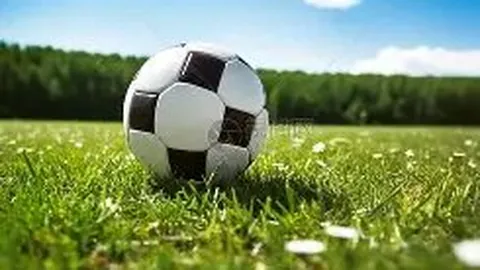 哈尔滨第九届亚冬会开幕式中国代表团入场仪式盛大举行